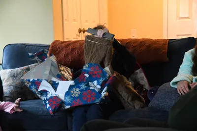 DSC_0339 (Large).JPG